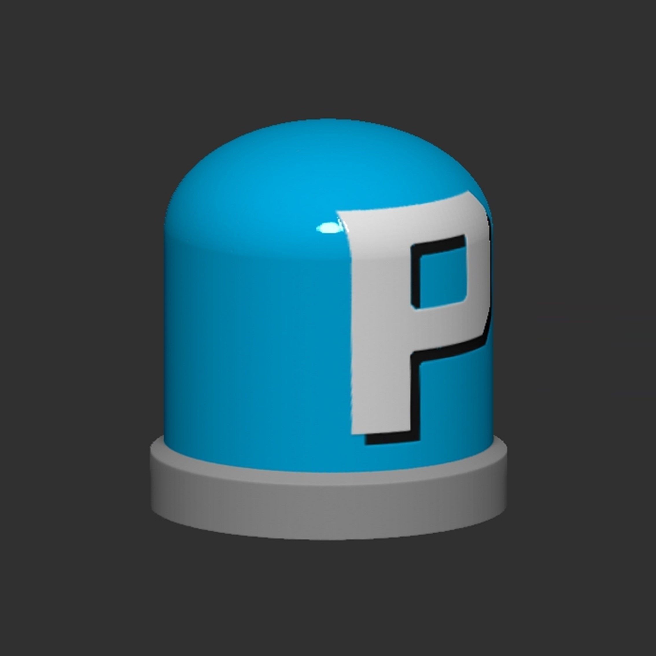 P Switch Button 3D print model_6