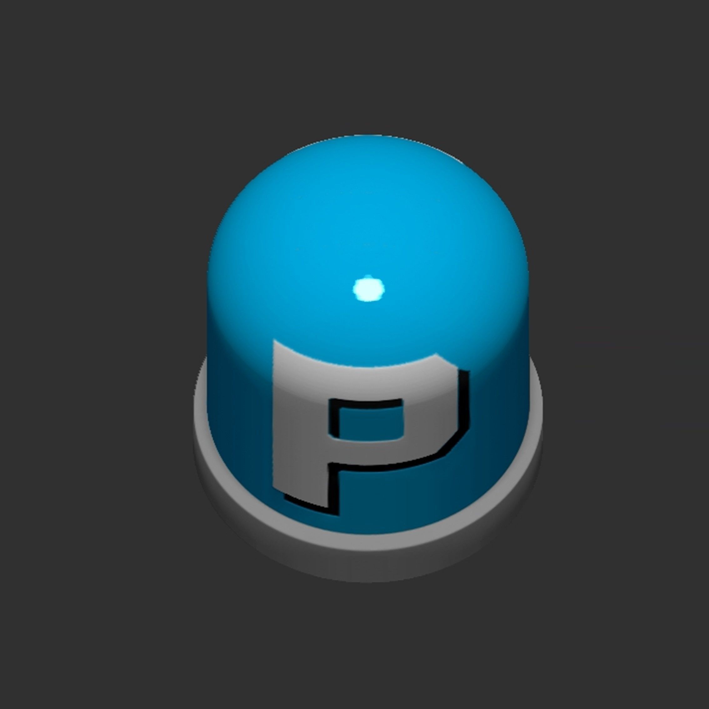 P Switch Button 3D print model_8