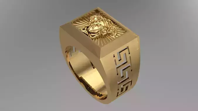 MENS RINGS WITH MOTIF - R13