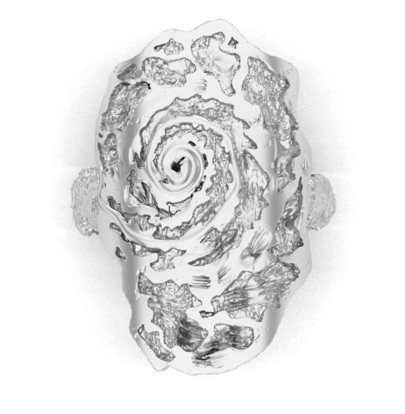 ring of unusual form ammonite 3D print model_1