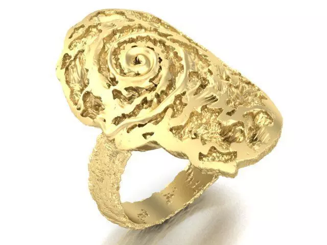 ring of unusual form ammonite 3D print model_0