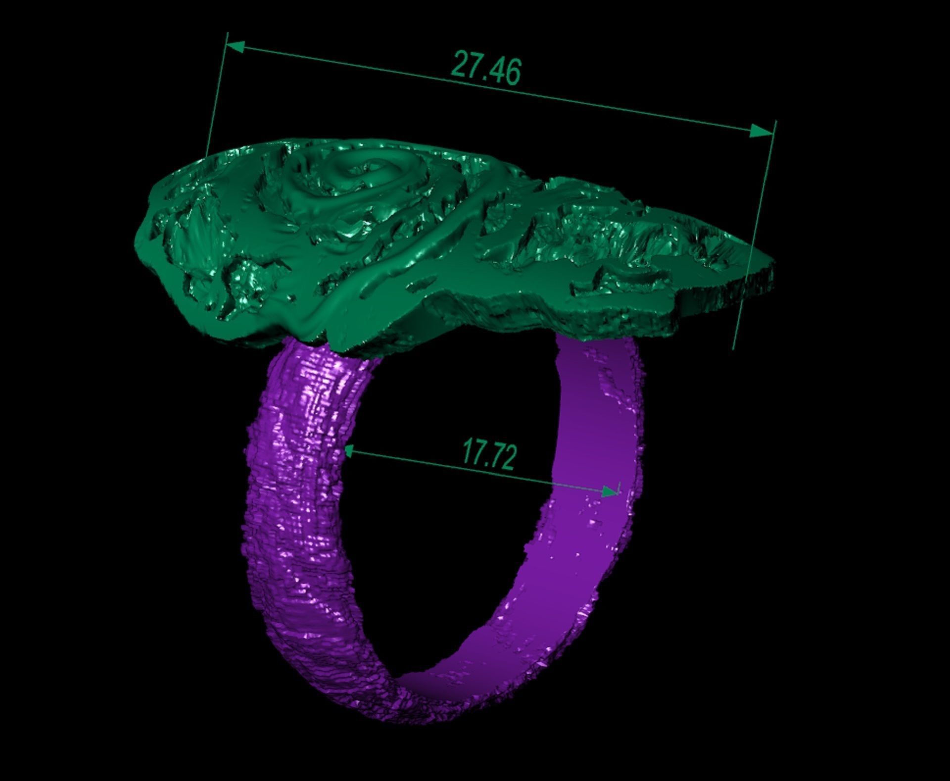 ring of unusual form ammonite 3D print model_6