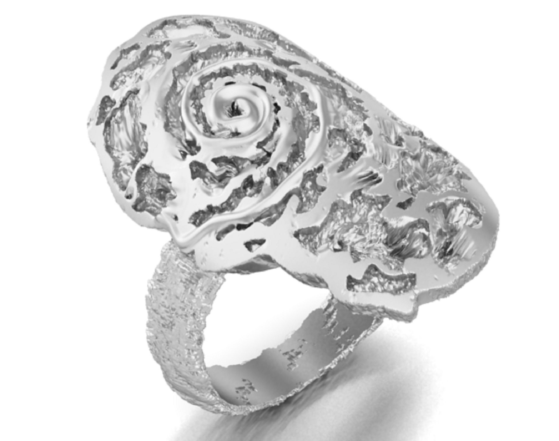 ring of unusual form ammonite 3D print model_2