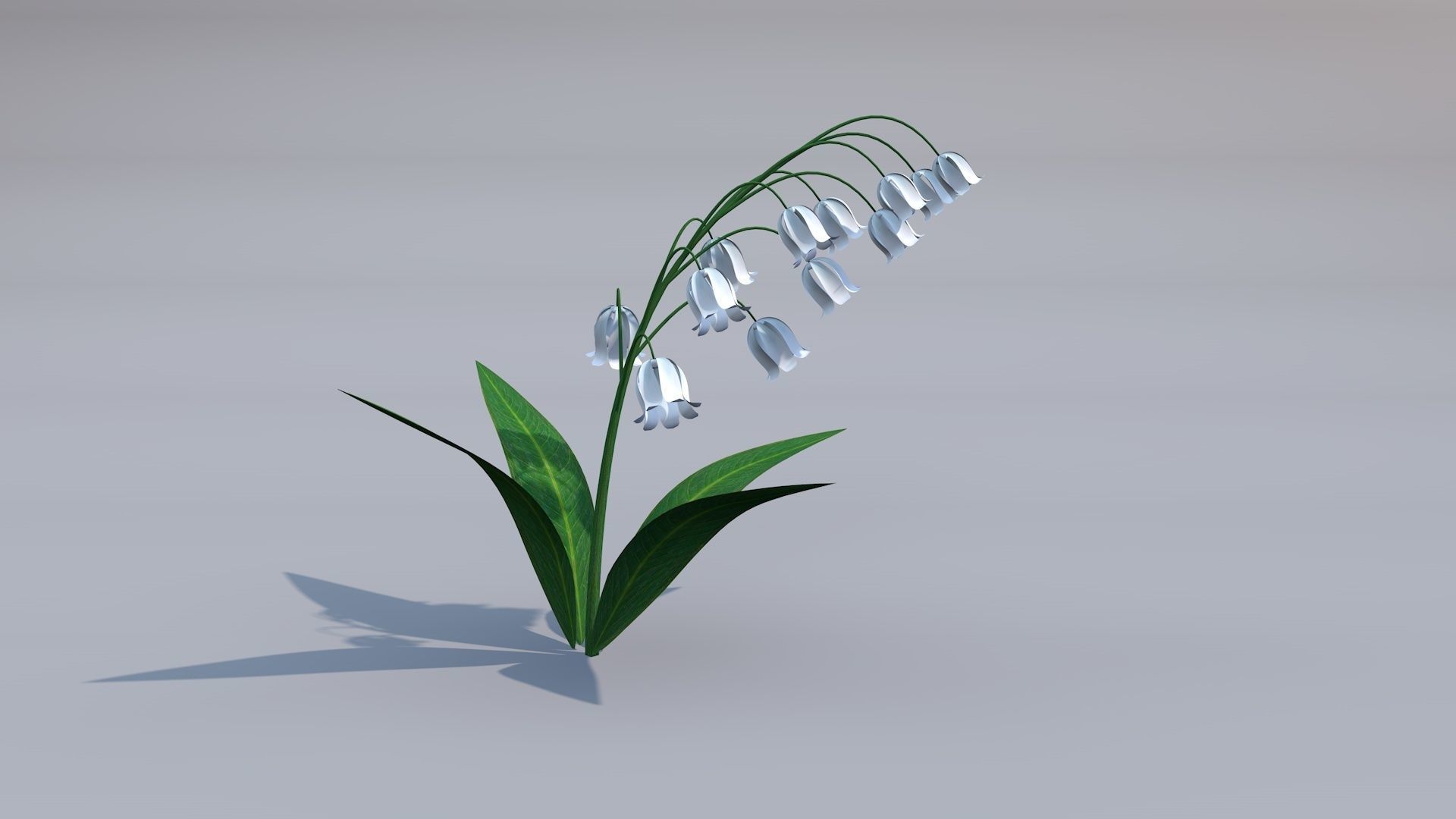 Lily of the valley Low-poly 3D model_3