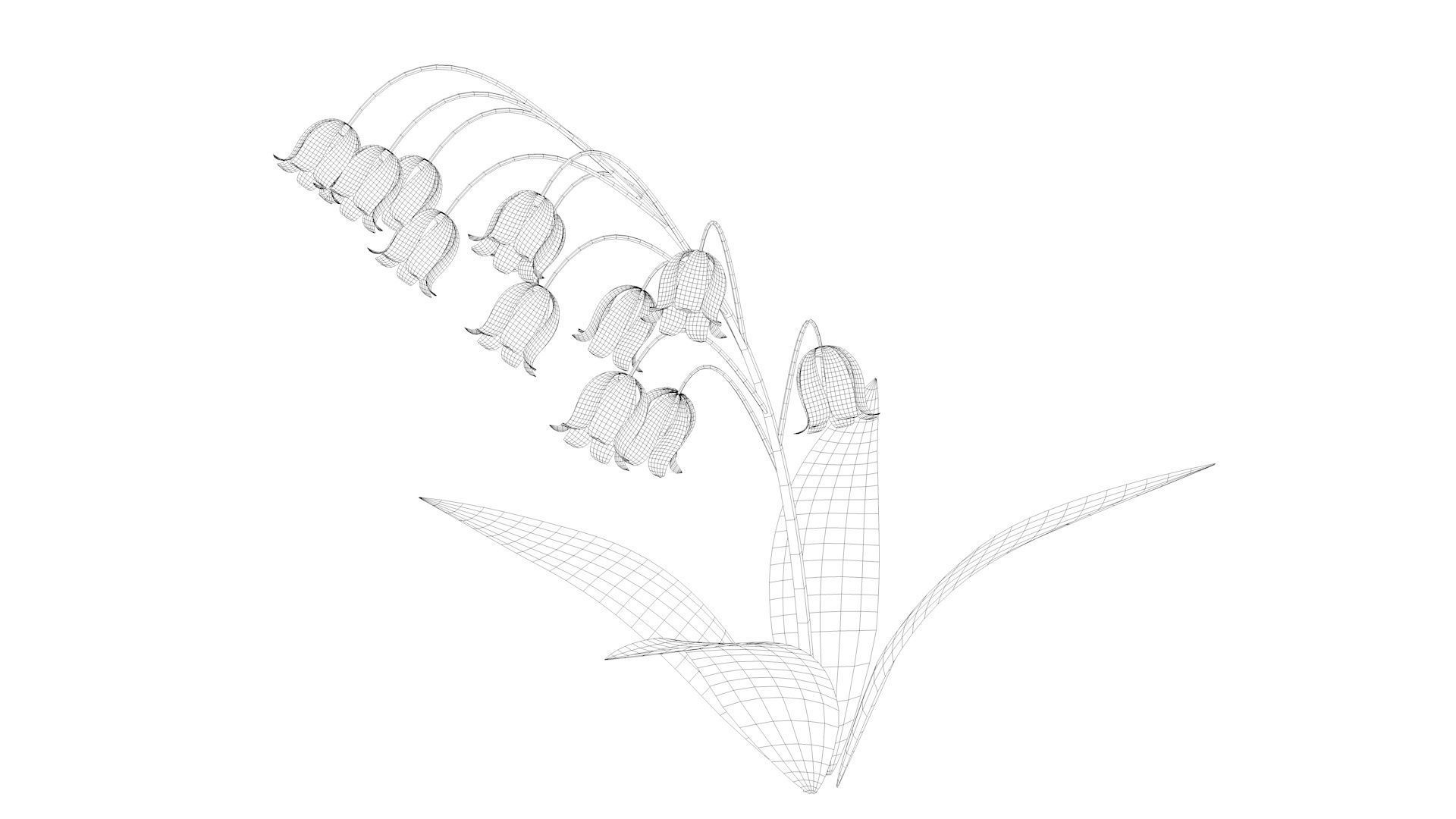 Lily of the valley Low-poly 3D model_11
