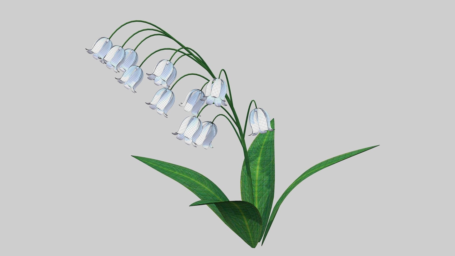 Lily of the valley Low-poly 3D model_4