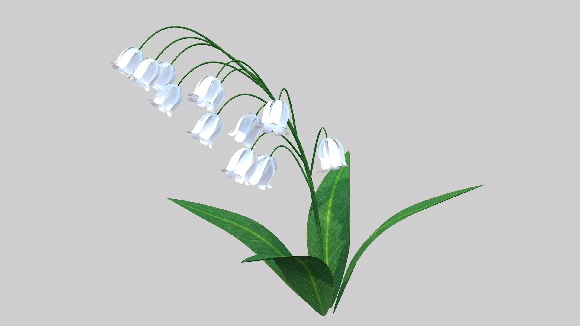 Lily of the valley Low-poly 3D model_0