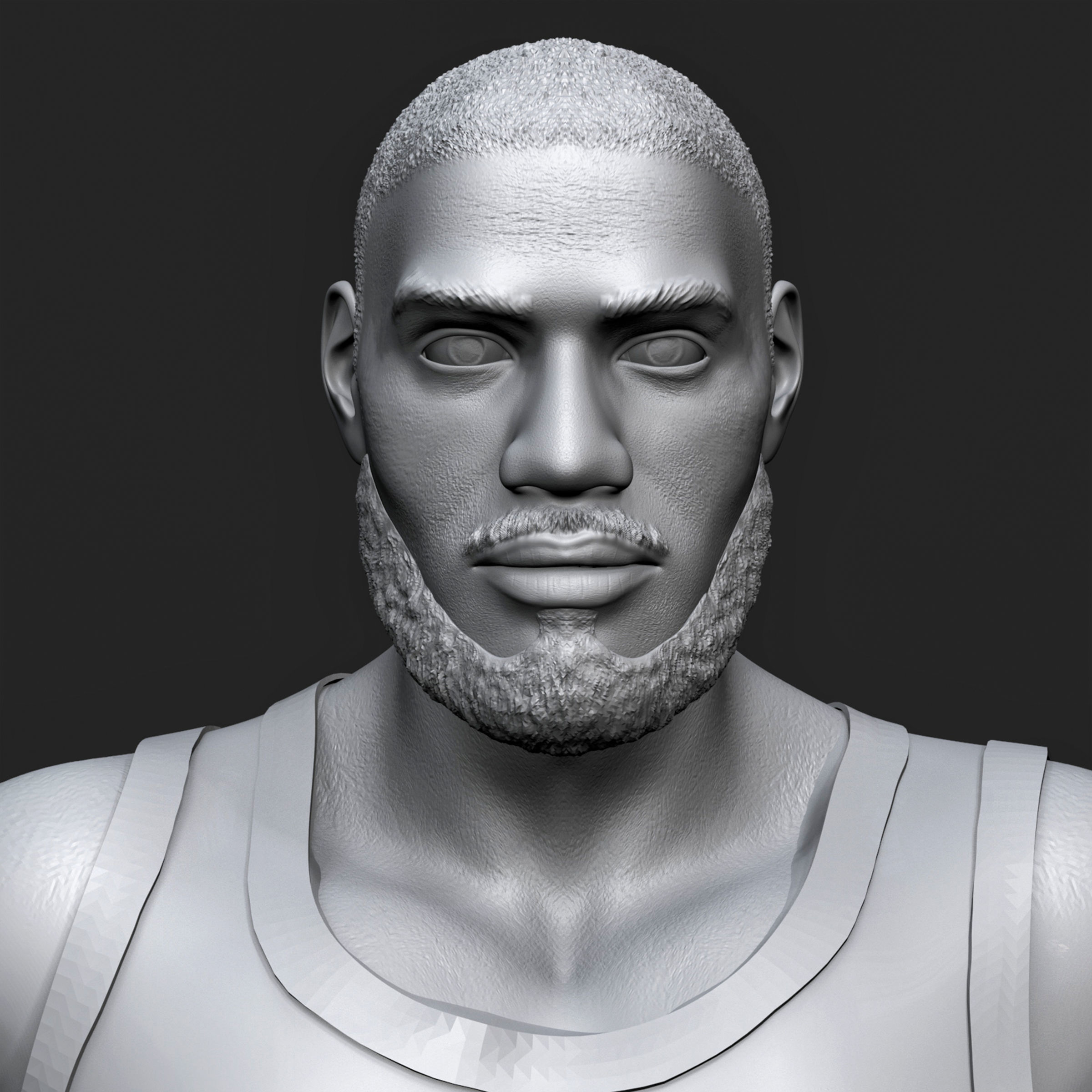 LeBron James 3D Printable 1 3D print model_16