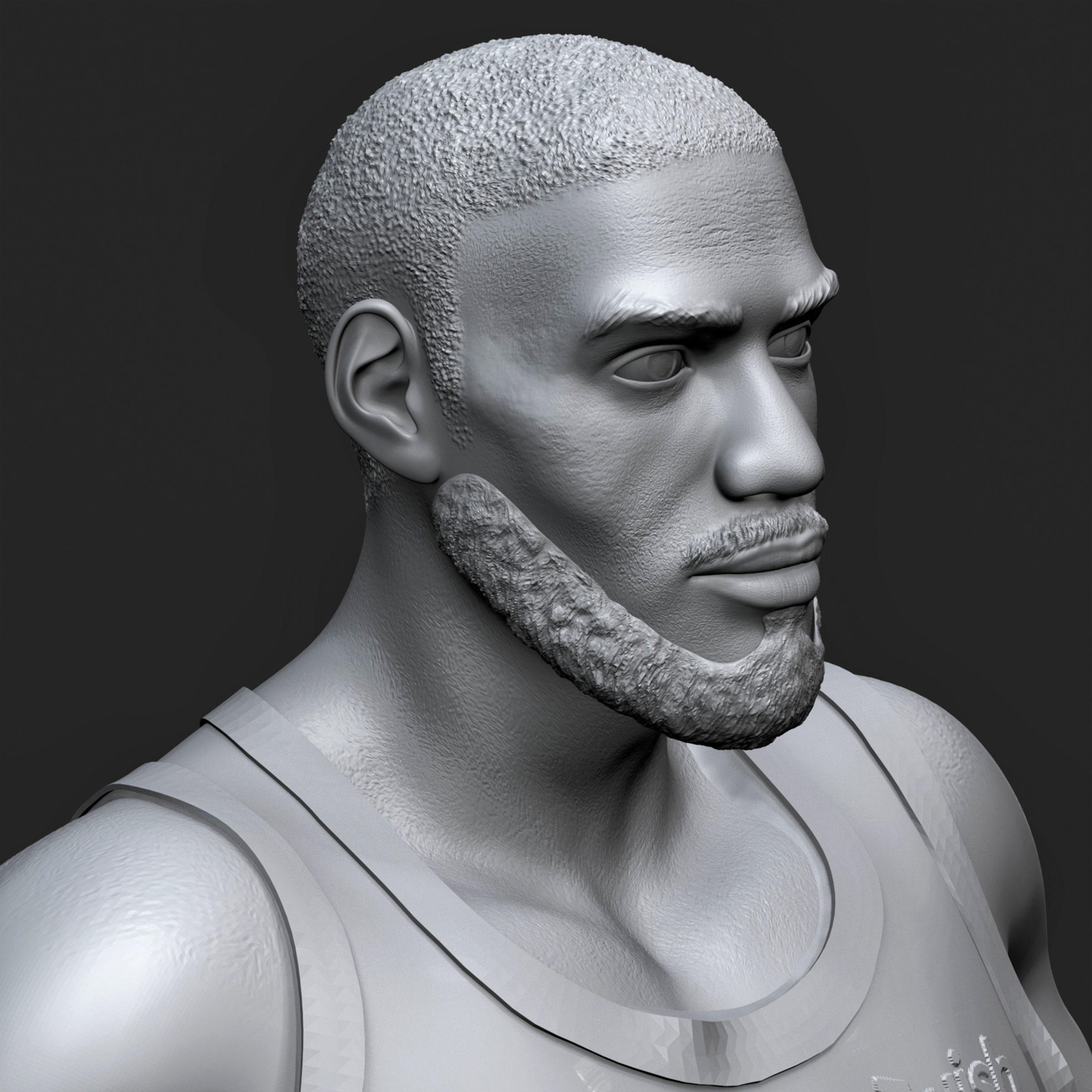 LeBron James 3D Printable 1 3D print model_17