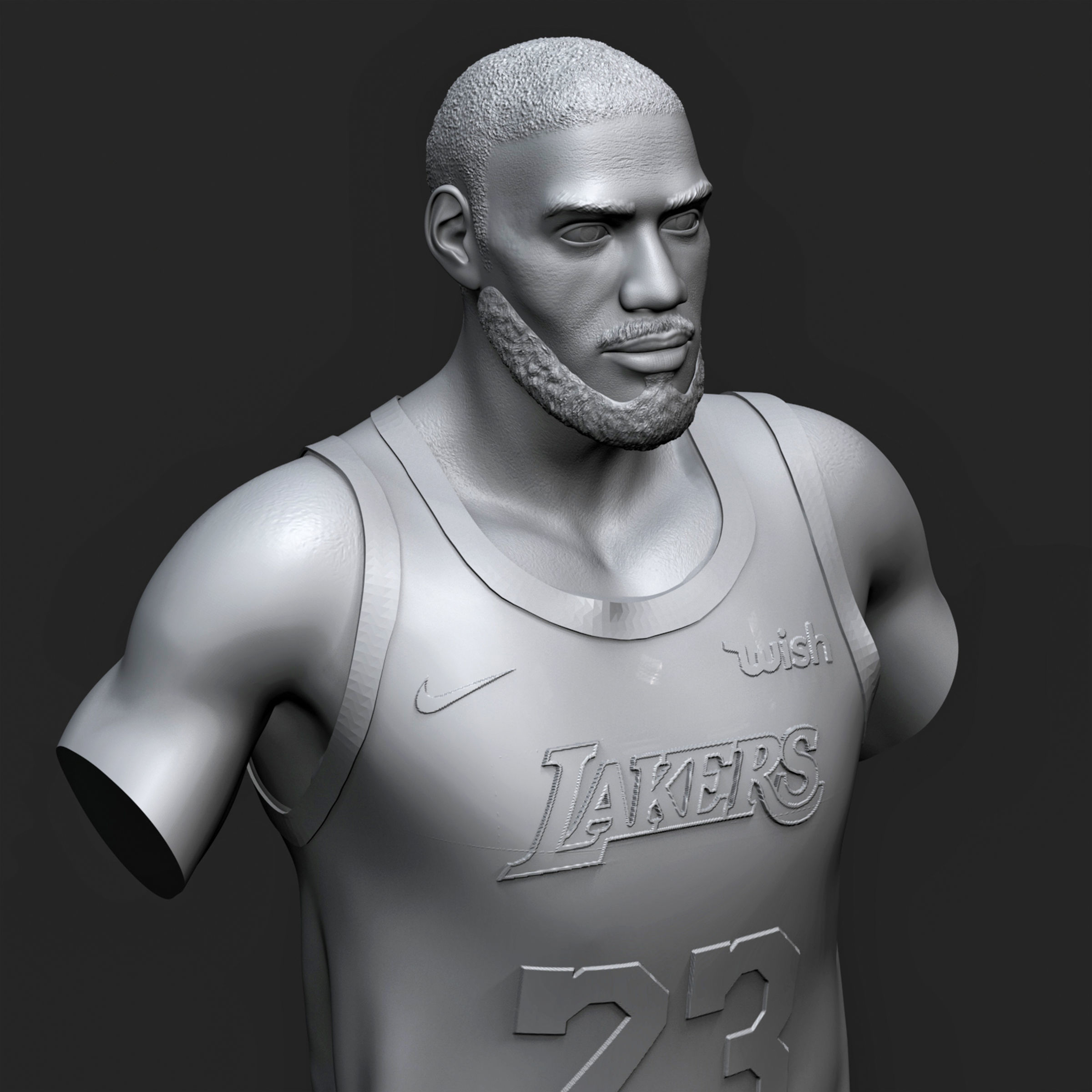 LeBron James 3D Printable 1 3D print model_9