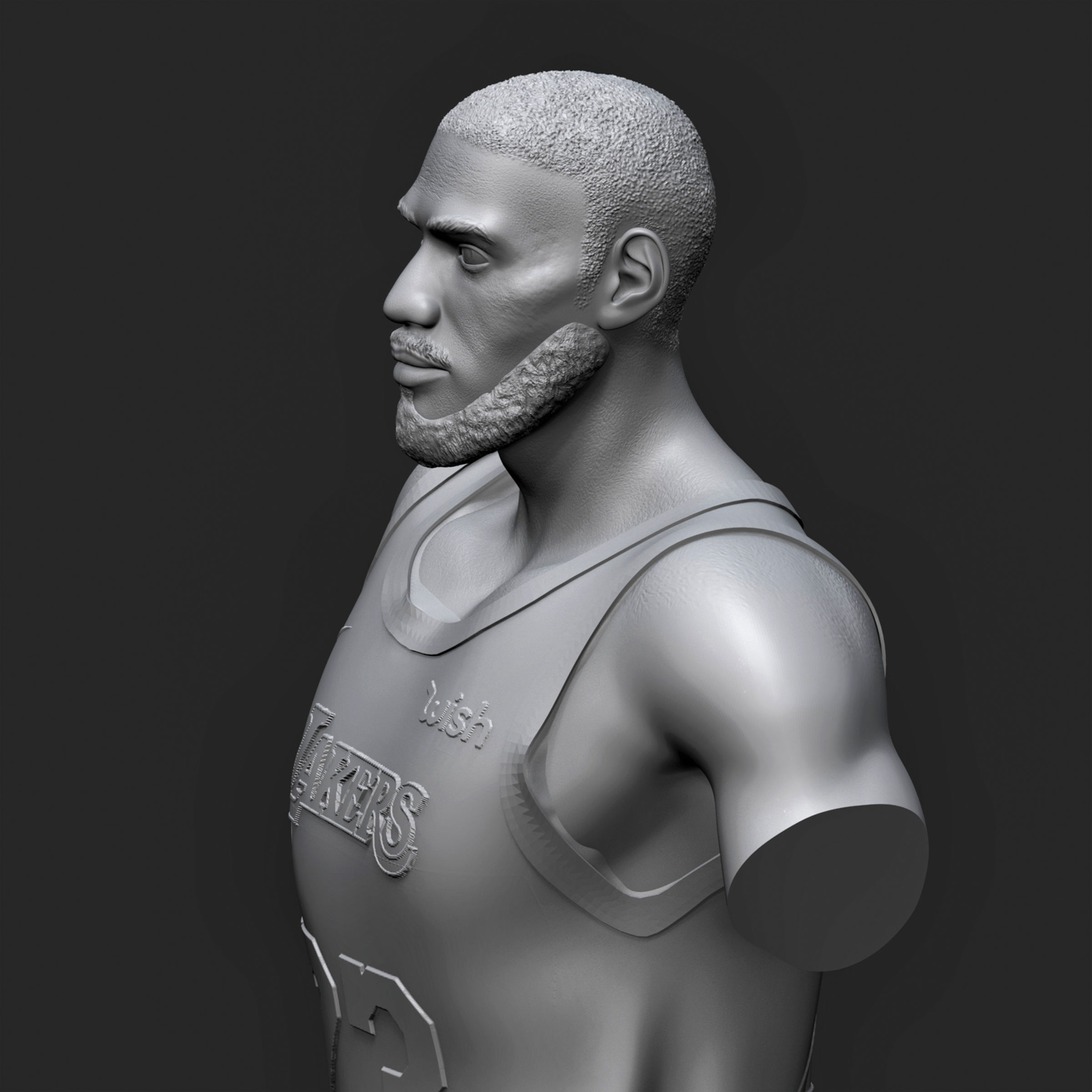 LeBron James 3D Printable 1 3D print model_11