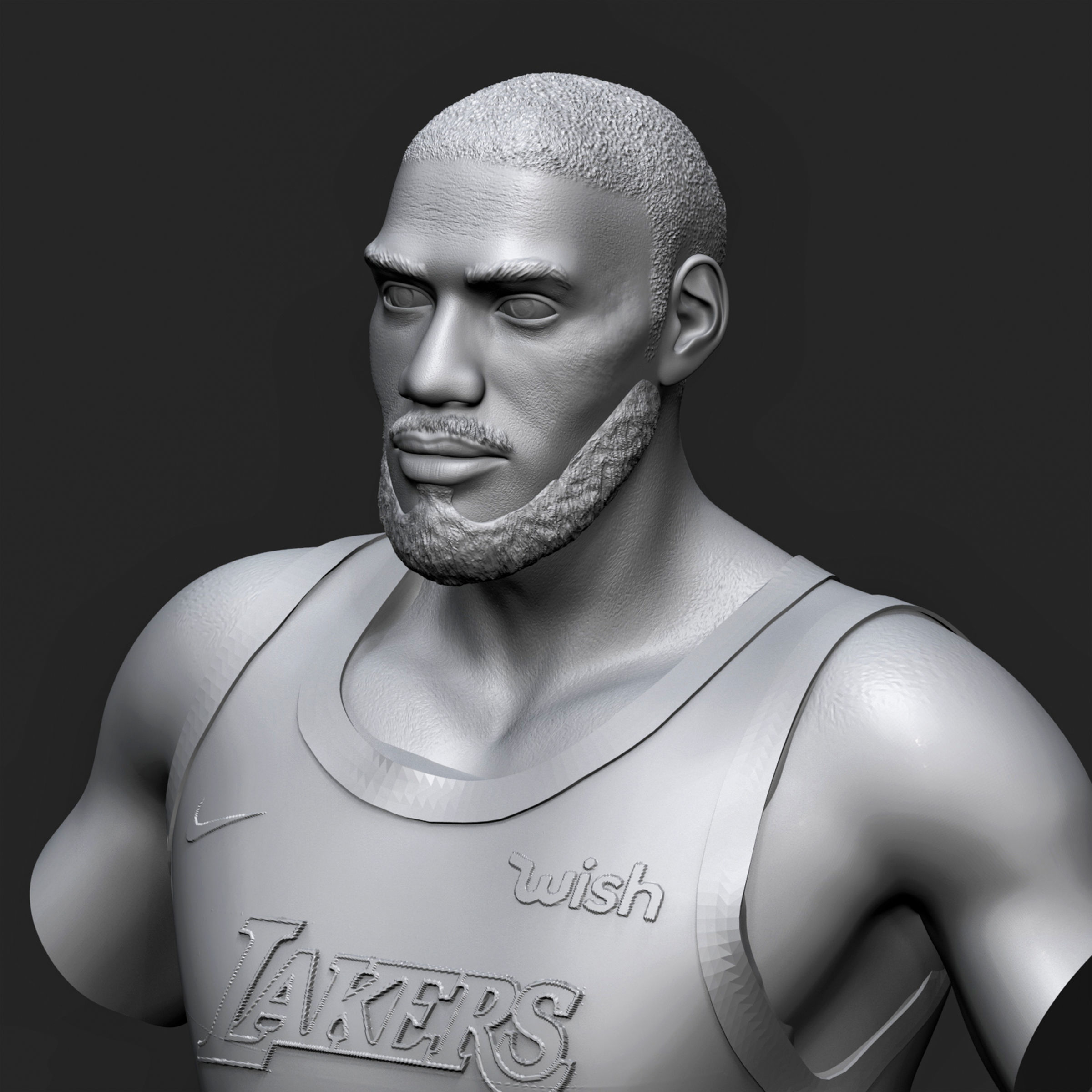 LeBron James 3D Printable 1 3D print model_15