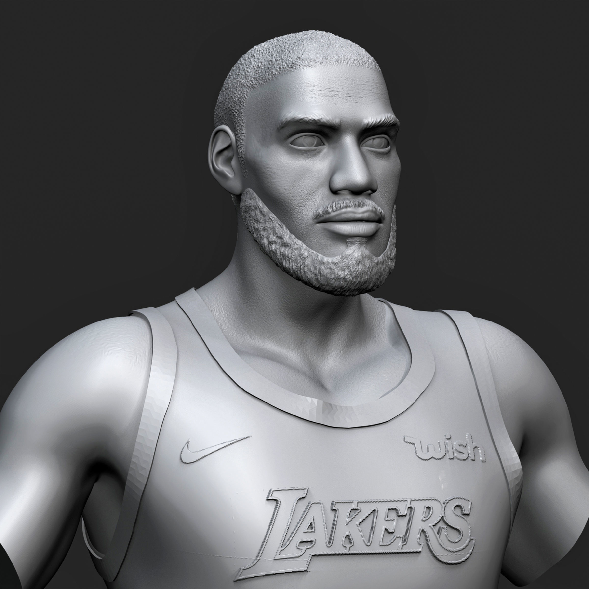 LeBron James 3D Printable 1 3D print model_14