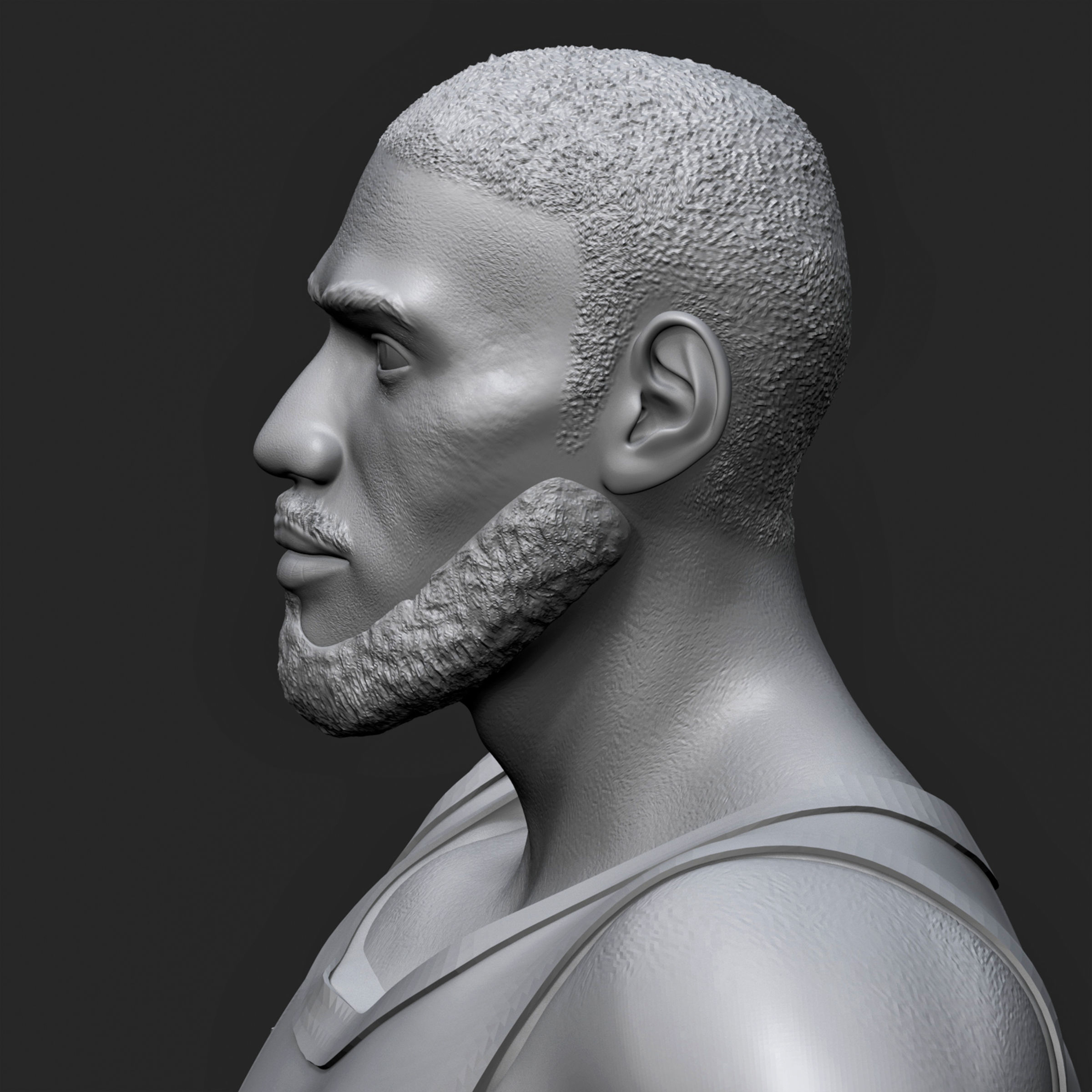 LeBron James 3D Printable 1 3D print model_19