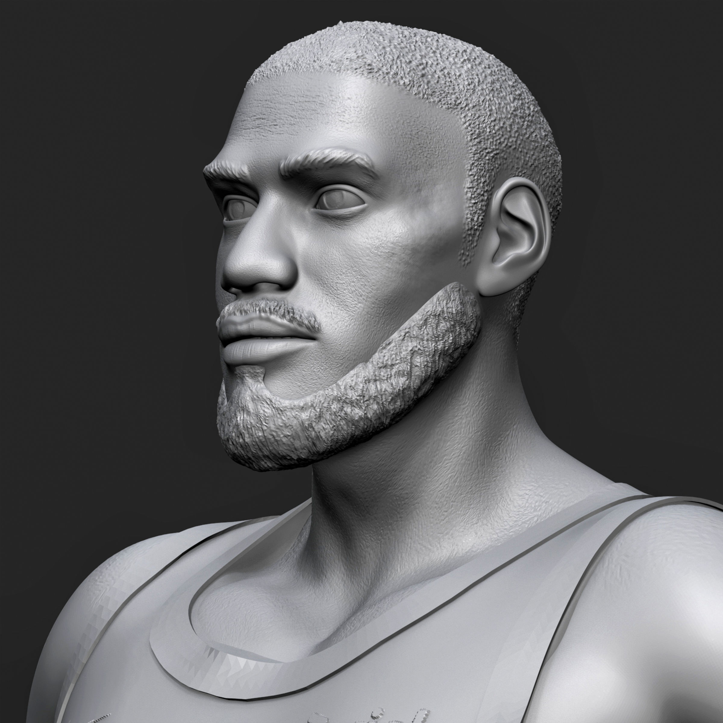 LeBron James 3D Printable 1 3D print model_18