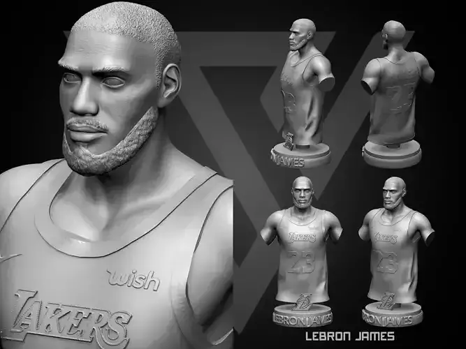 LeBron James 3D Printable 1 3D print model
