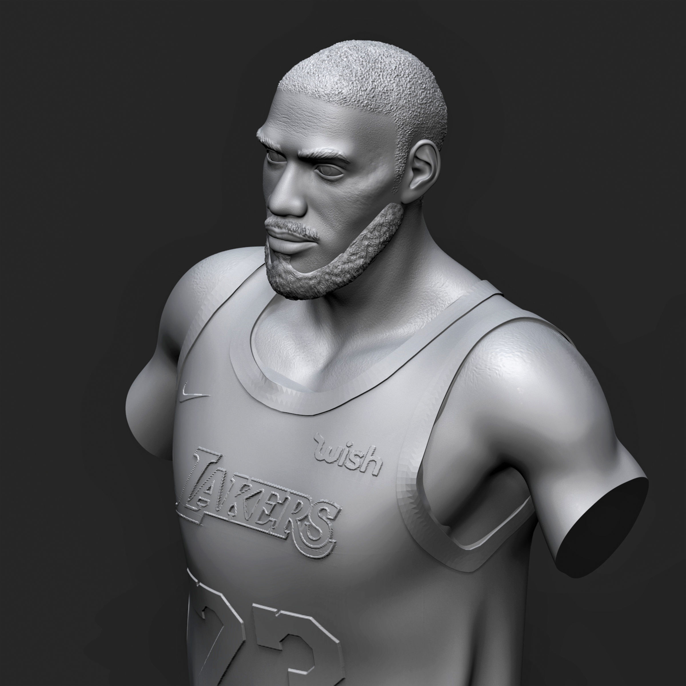 LeBron James 3D Printable 1 3D print model_10