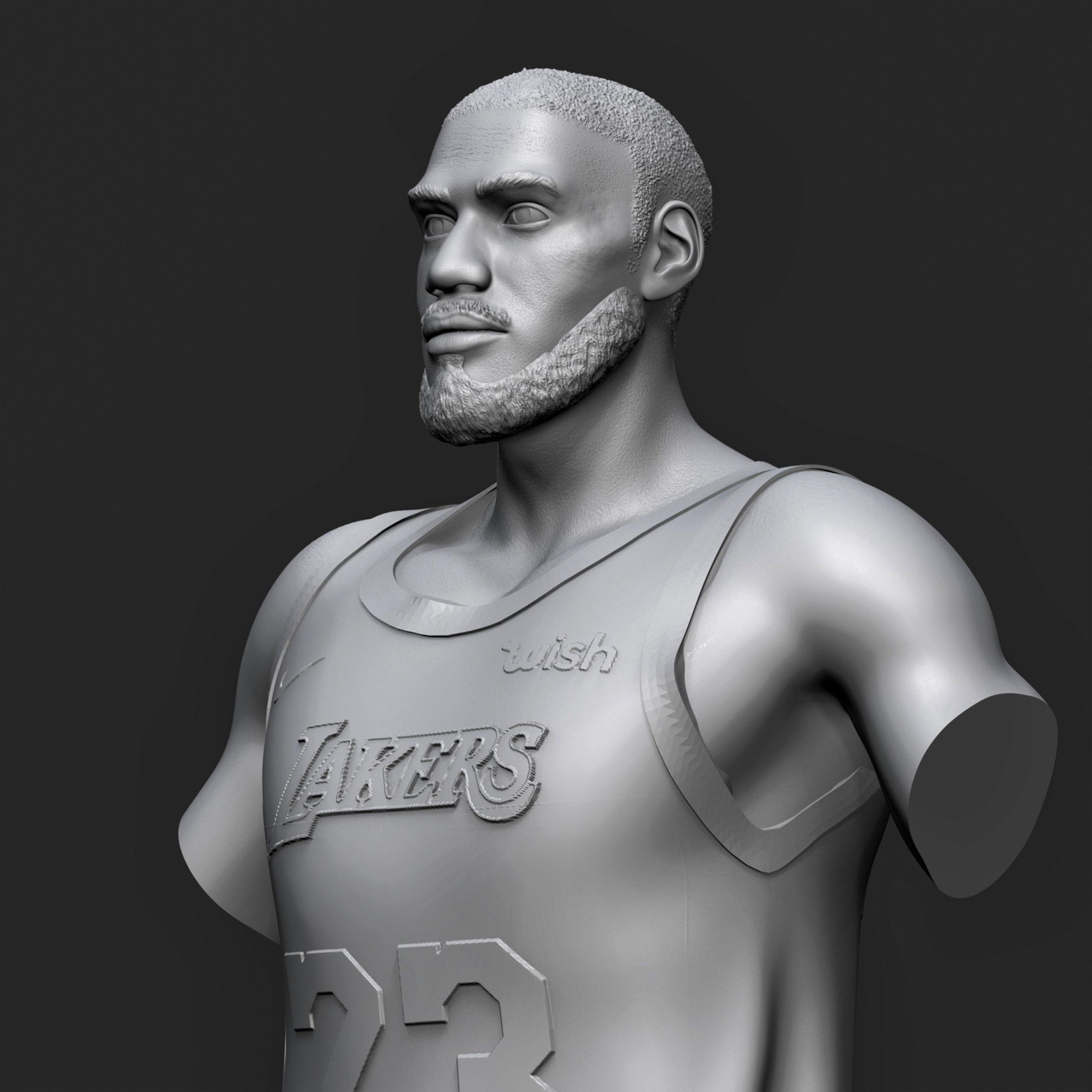 LeBron James 3D Printable 1 3D print model_13