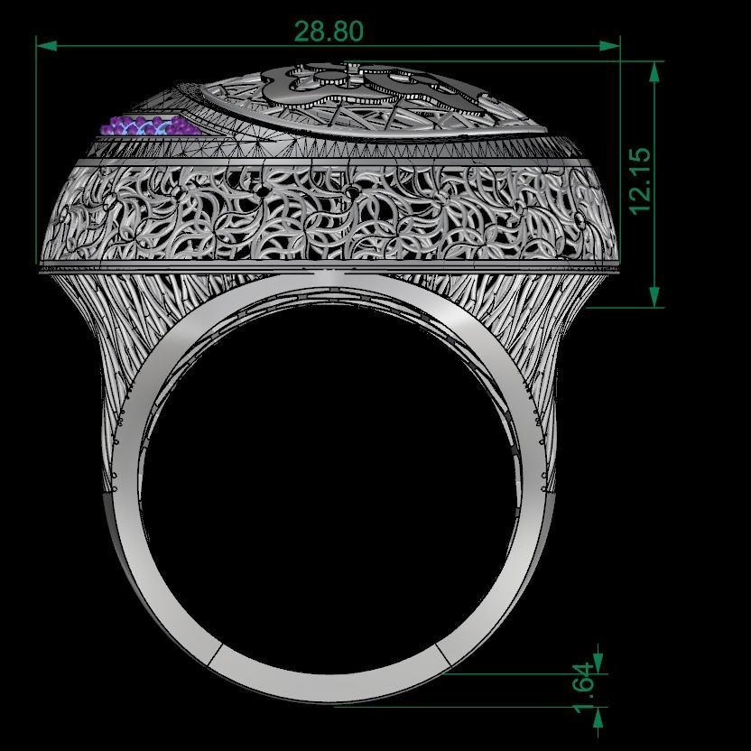 SINGLE ROW STONE RING COLLECTION -R12- 3D print model_6