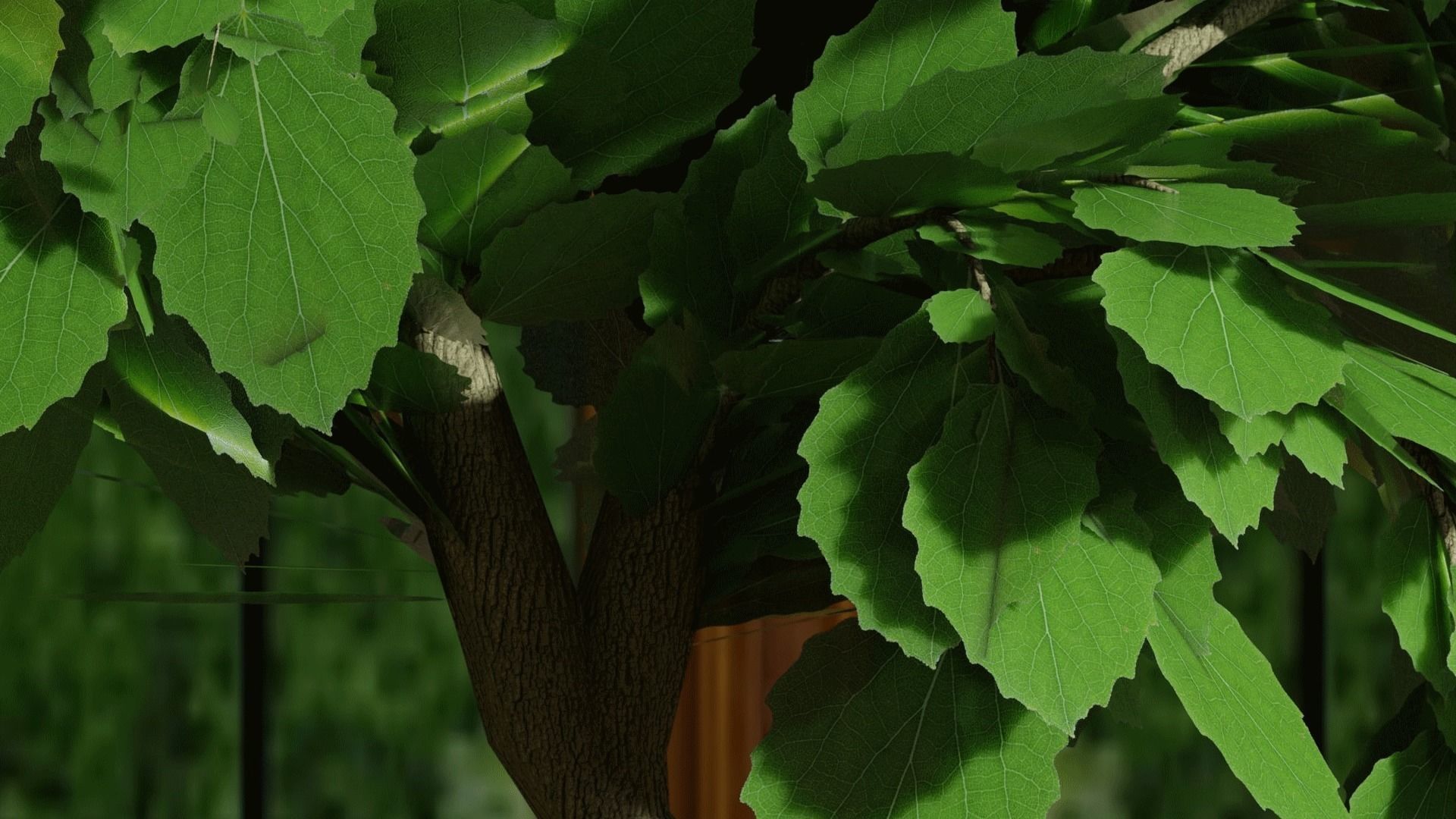Tree in pot bonsai 3D model Blender file Free 3D model_2
