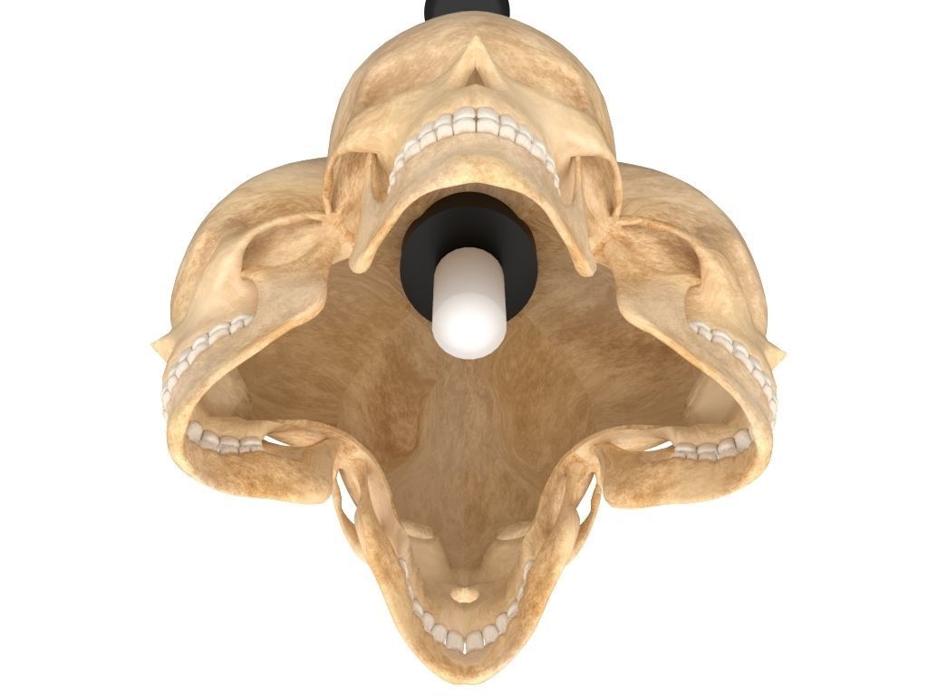 Skull Lamp 3D model_5
