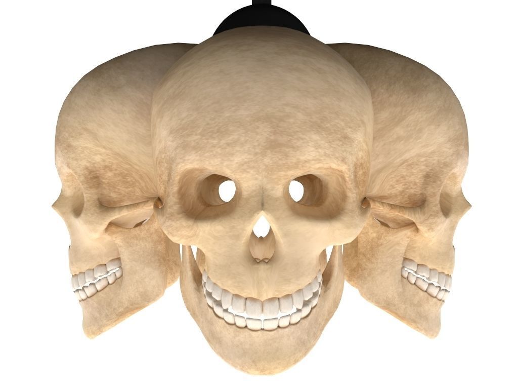 Skull Lamp 3D model_2