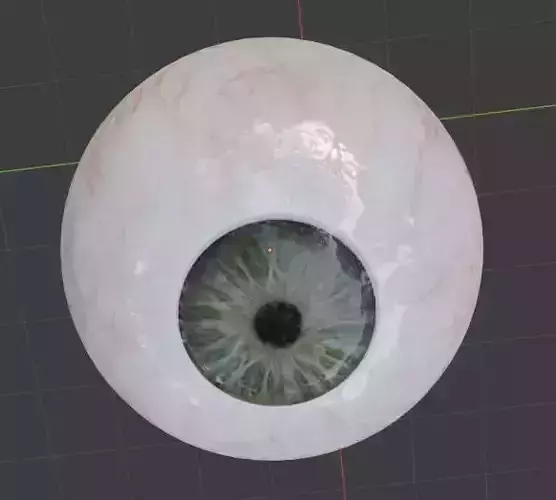 Realistic EYE ball original blender file 3D model