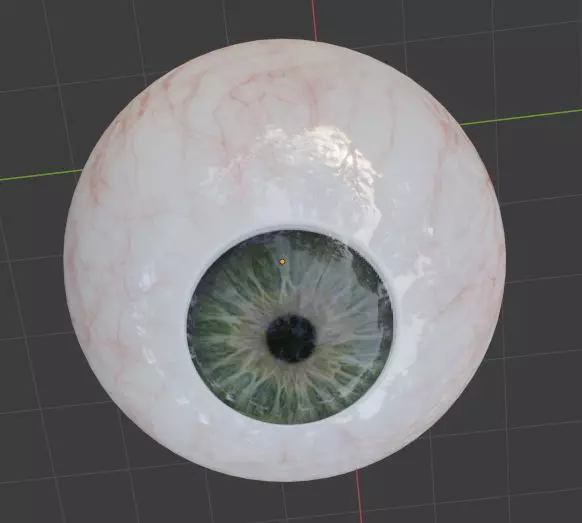 Realistic EYE ball original blender file 3D model_0