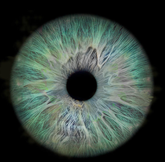 Realistic EYE ball original blender file 3D model_7