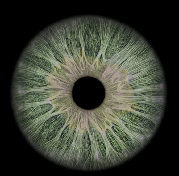 Realistic EYE ball original blender file 3D model_9