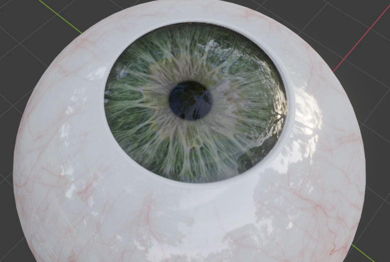 Realistic EYE ball original blender file 3D model_2