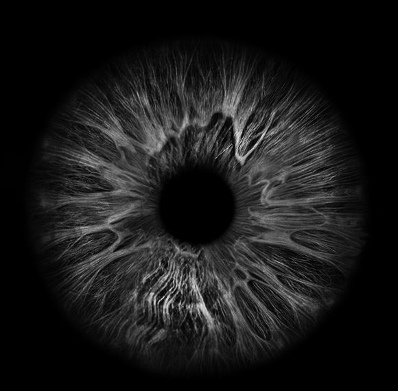 Realistic EYE ball original blender file 3D model_8