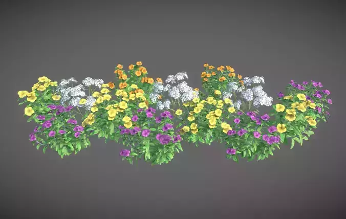 flower bed