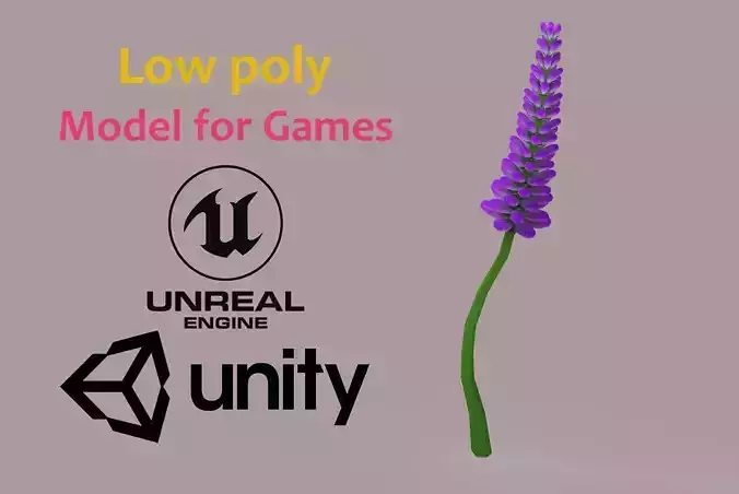 Lavander lavender Low-poly 3D model