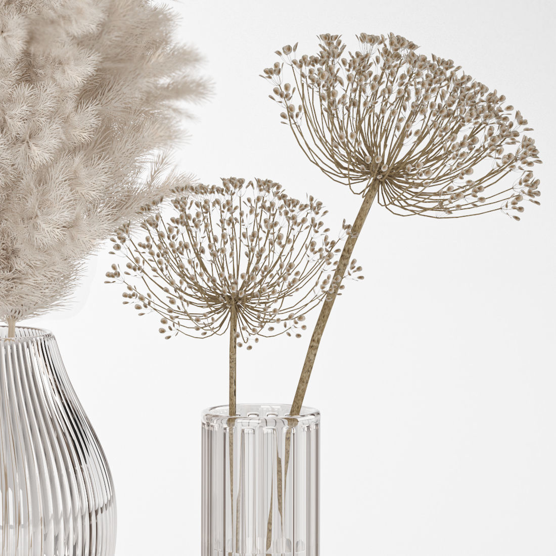 dry plant composition 3D model_2