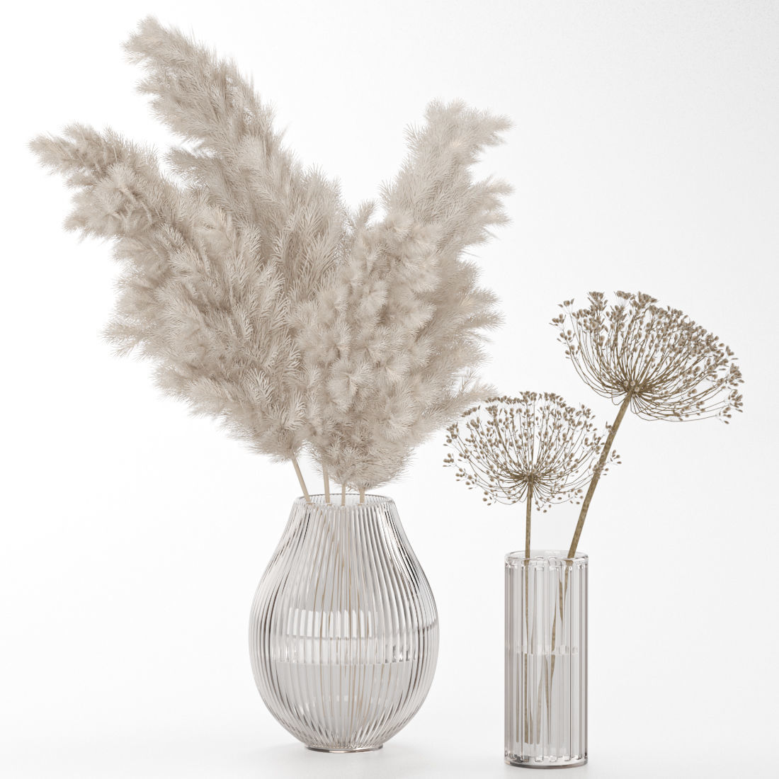 dry plant composition 3D model_1