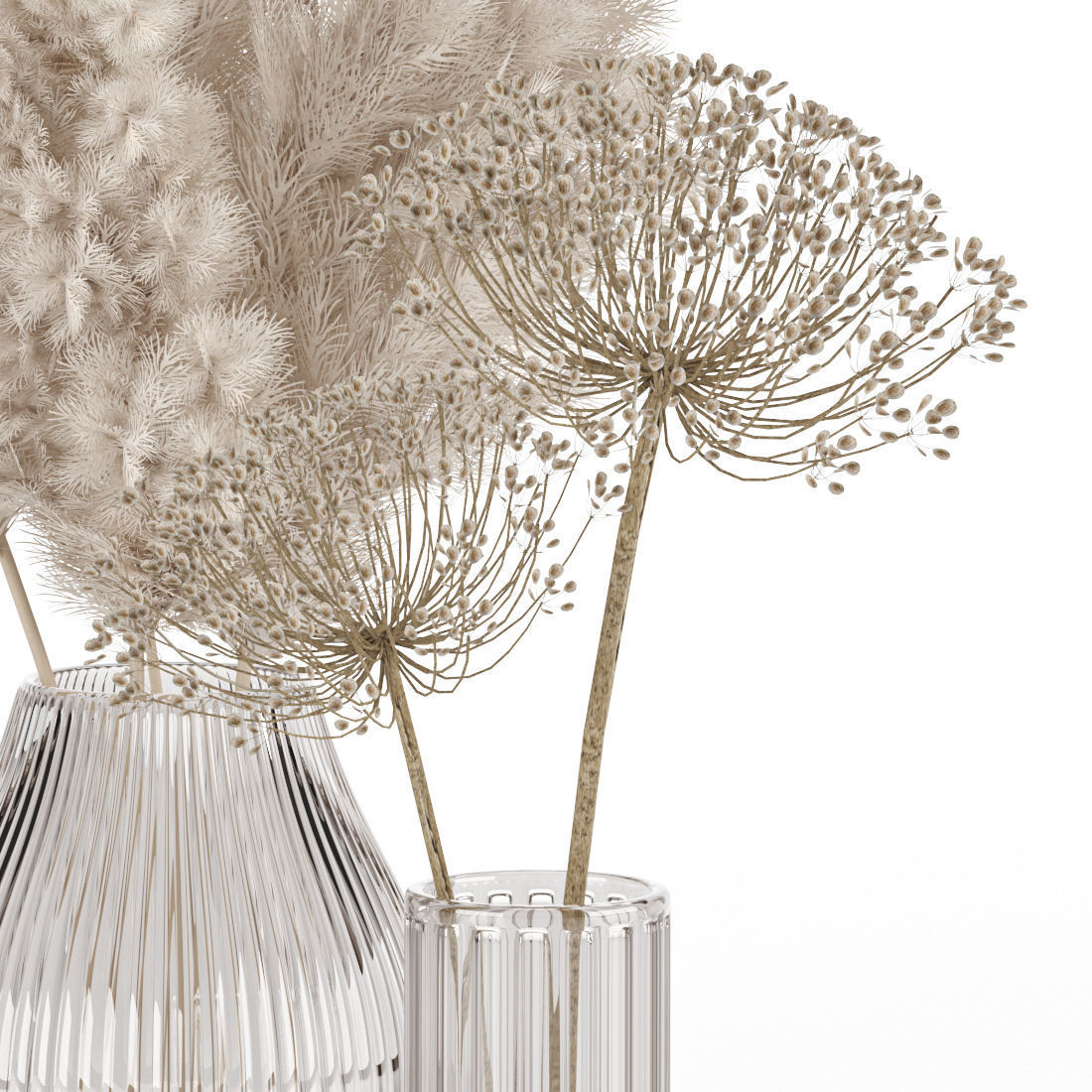 dry plant composition 3D model_3