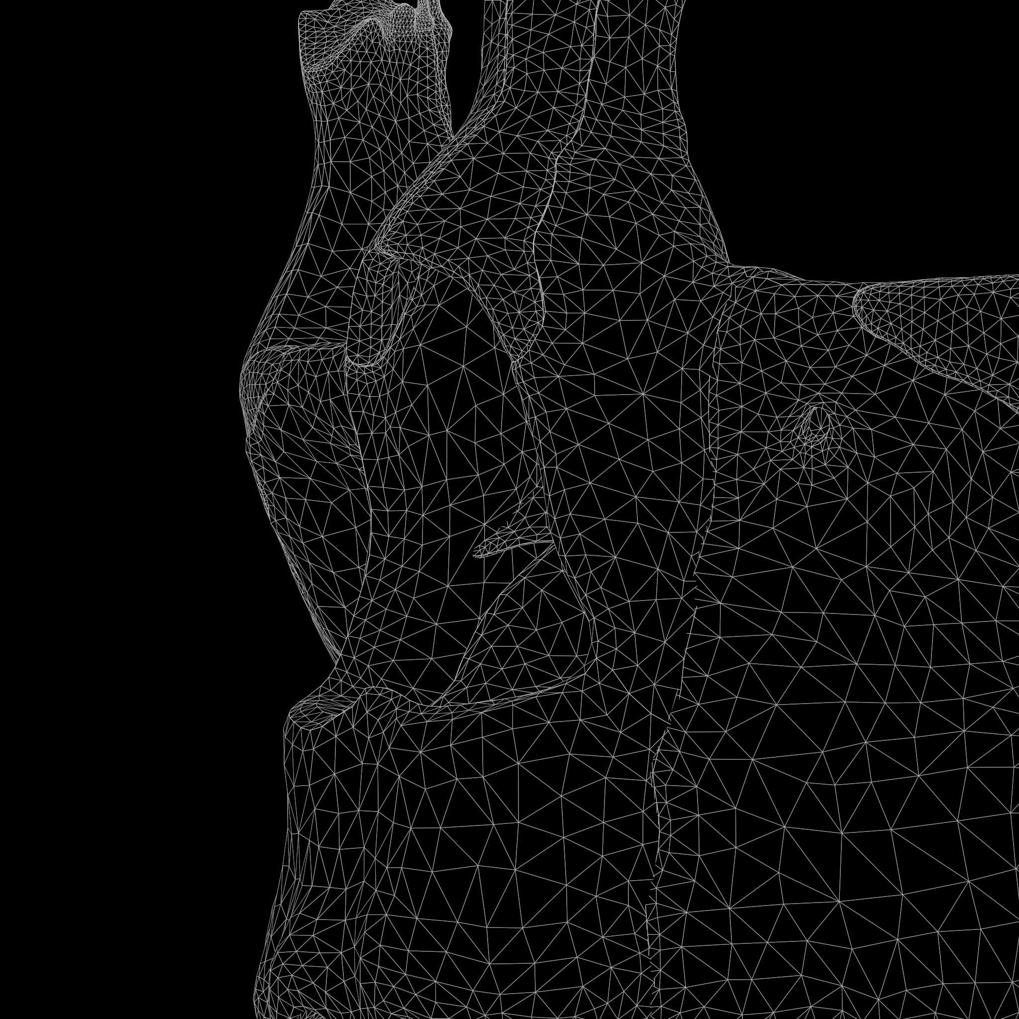 Nasal Human Anatomy Structure  3D model_16