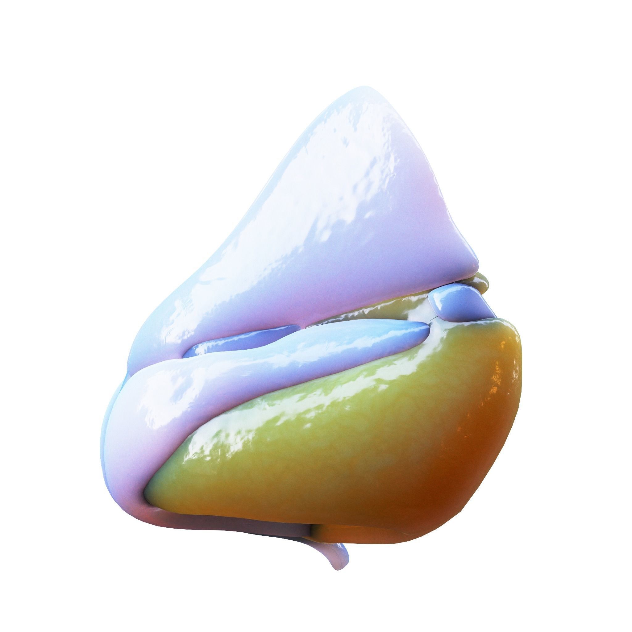 Nasal Human Anatomy Structure  3D model_11