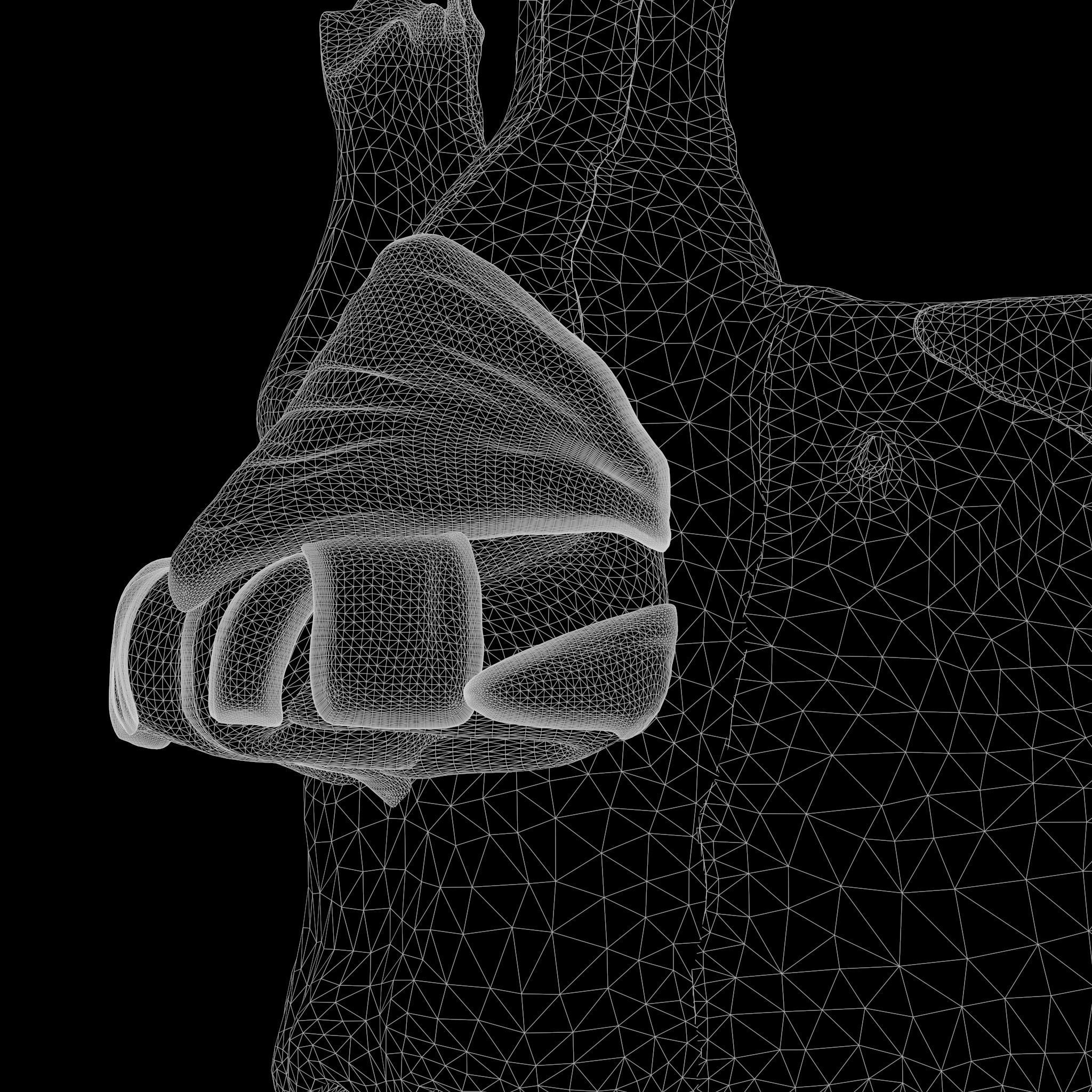 Nasal Human Anatomy Structure  3D model_15
