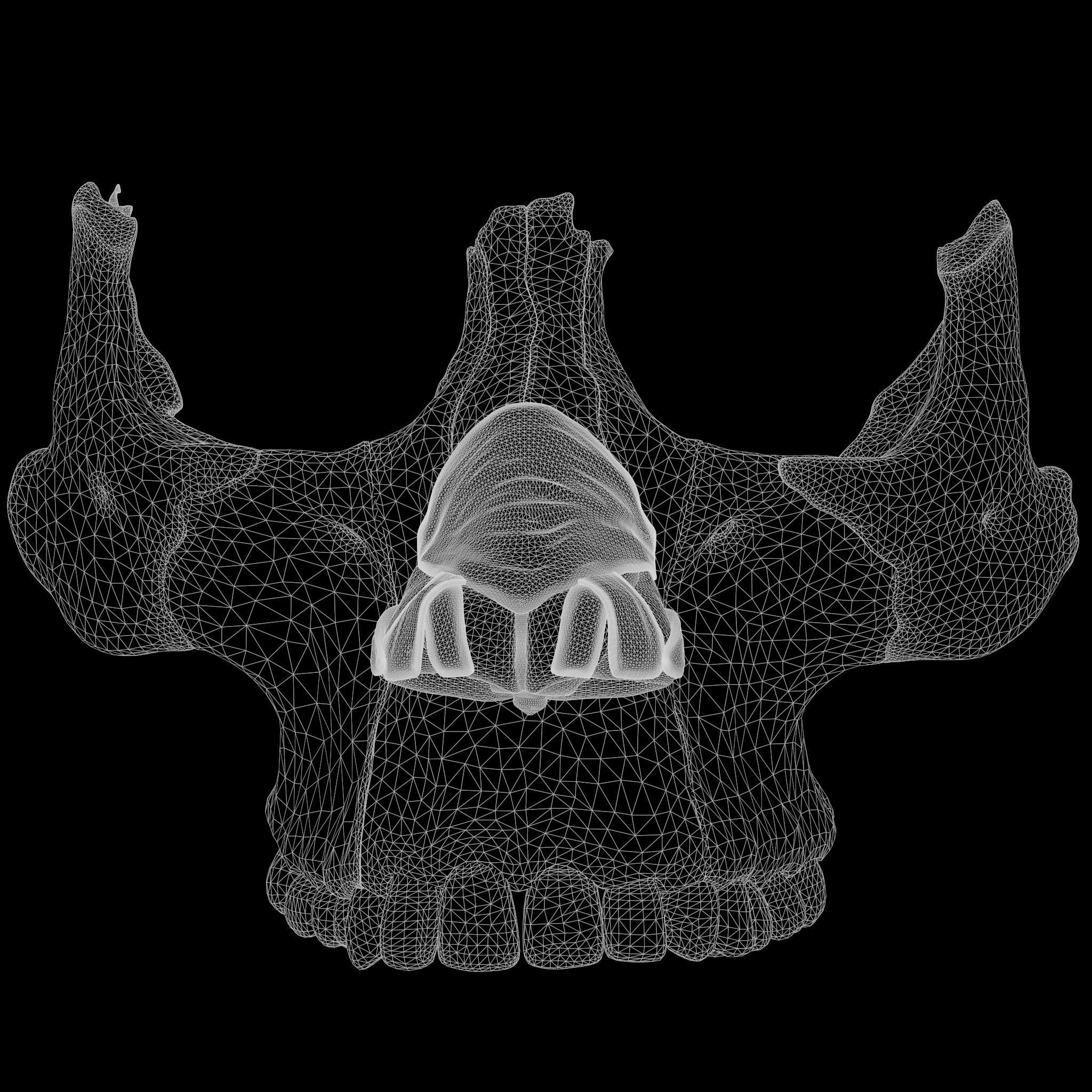 Nasal Human Anatomy Structure  3D model_17
