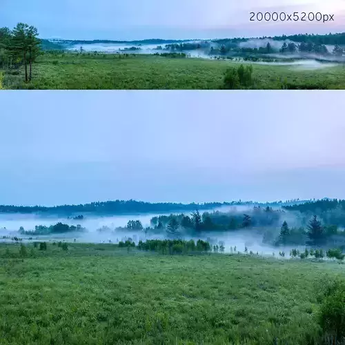 Early morning forest panorama 3D model