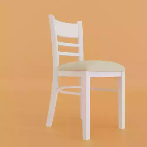 Dining chair with leather cushion seat