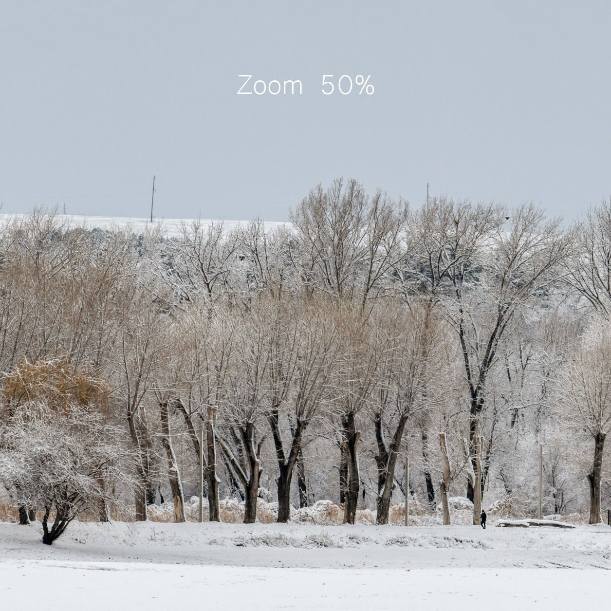 Panorama of the park with a lake and snow-covered trees - 45k 3D model_2