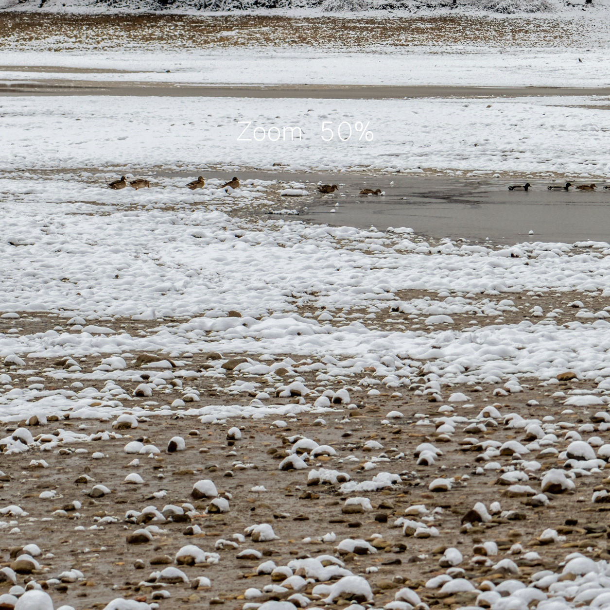 Panorama of the park with a lake and snow-covered trees - 45k 3D model_6