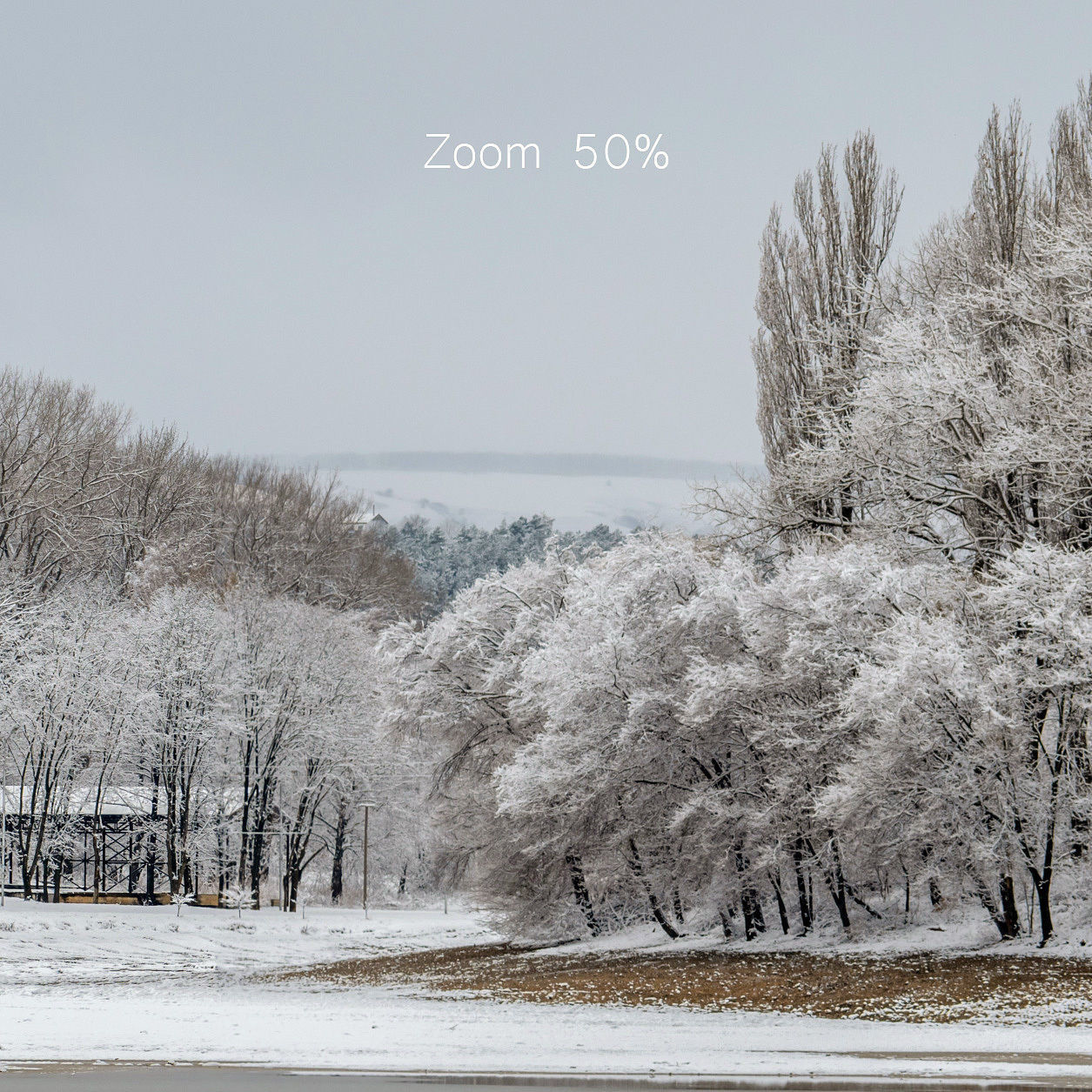 Panorama of the park with a lake and snow-covered trees - 45k 3D model_3
