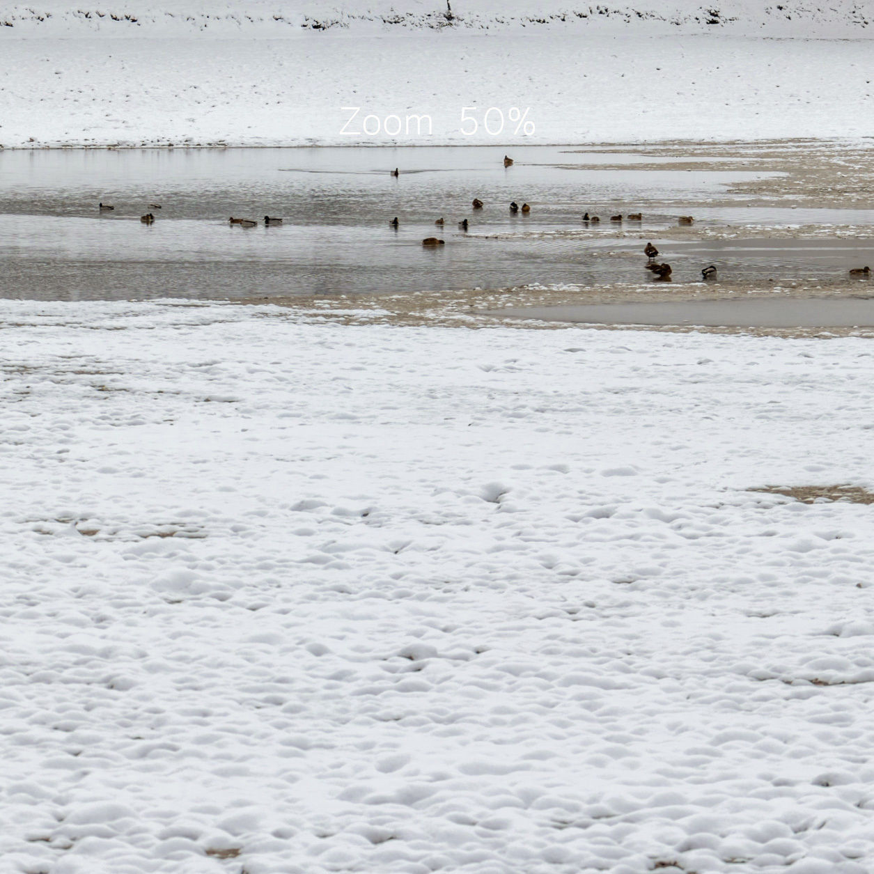 Panorama of the park with a lake and snow-covered trees - 45k 3D model_5