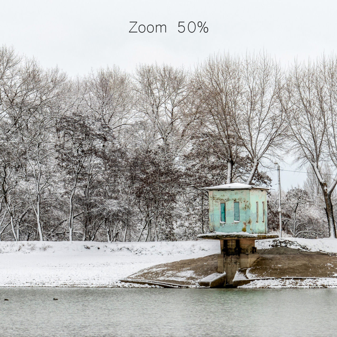 Panorama of the park with a lake and snow-covered trees - 40k 3D model_5