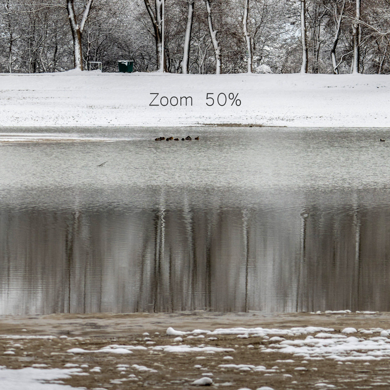 Panorama of the park with a lake and snow-covered trees - 40k 3D model_6