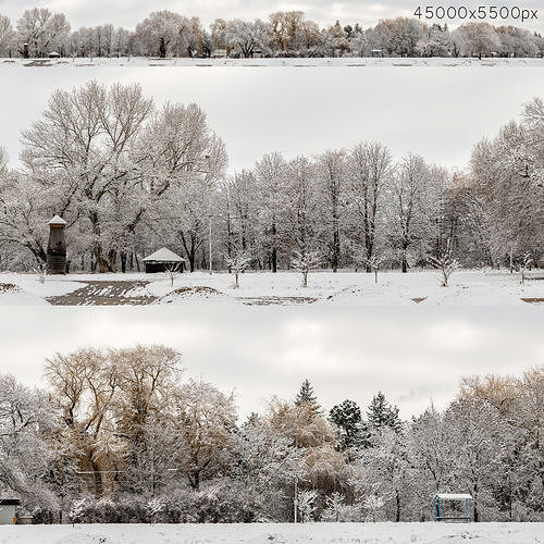 Panorama of the park and snow-covered trees - 45k 3D model